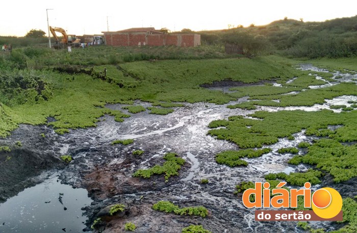 Esgoto estaria caindo dentro do açude em São Gonçalo (foto: Luciano Lopes)