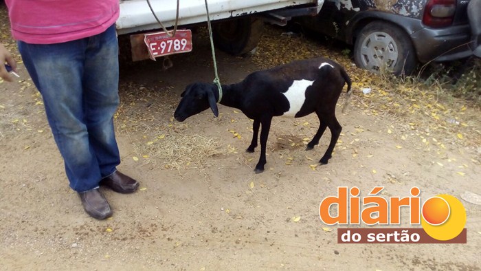Material de roubos recuperado pelos agentes (Foto: Diário do Sertão)