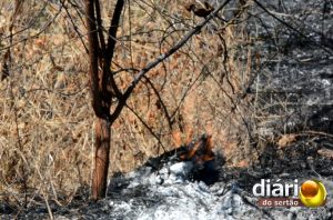 Foco de incêndio no campus da UFCG de Cajazeiras