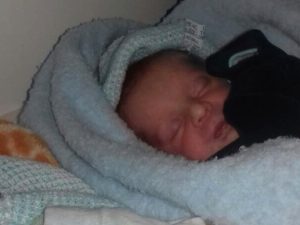 Miguel e o irmão gêmeo Pedro nasceram com 2,6 kg e 46 centímetros (Foto: Arquivo pessoal/Divulgação)