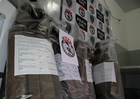 seds policia coletiva apreendido 20 kg de maconha em cg (2)