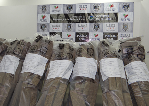 seds policia coletiva apreendido 20 kg de maconha em cg (4)