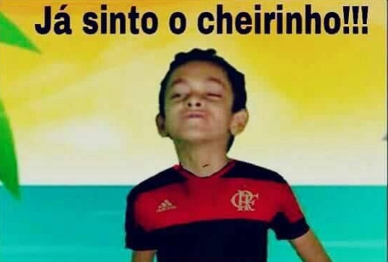 CONFIRA OS MEMES DA DERROTA DO FLAMENGO - SJ EM FOCO