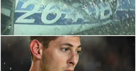 Emiliano Sala morreu por ferimentos na cabeça e no corpo, segundo